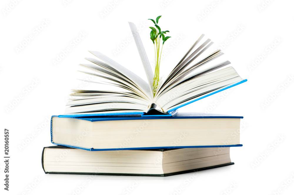 Knowledge concept with books and seedlings Knowledge concept with books and seedlings