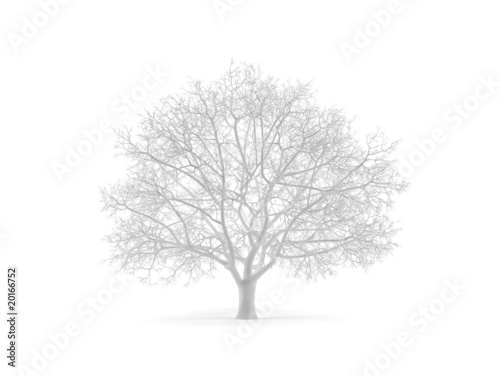 Wallpaper Mural Tree. Torontodigital.ca