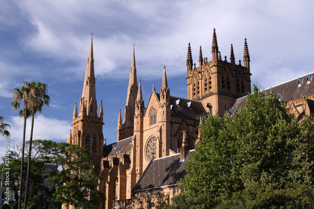 Fototapeta premium St. Mary's Cathedral. Sydney. Australia