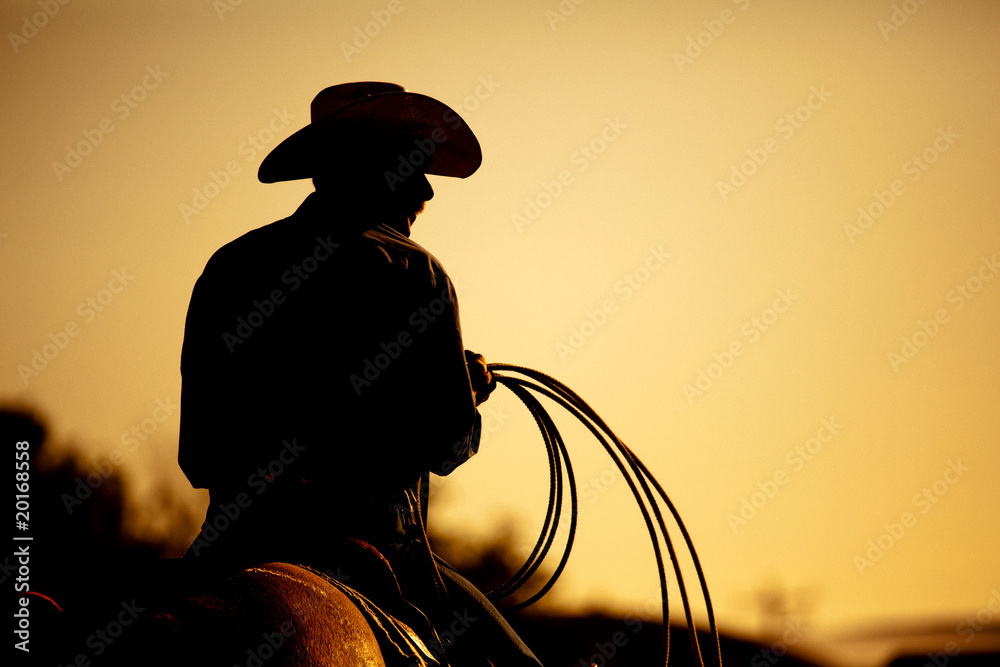 Naklejka premium rodeo cowboy silhouette