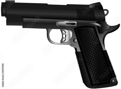 Gun