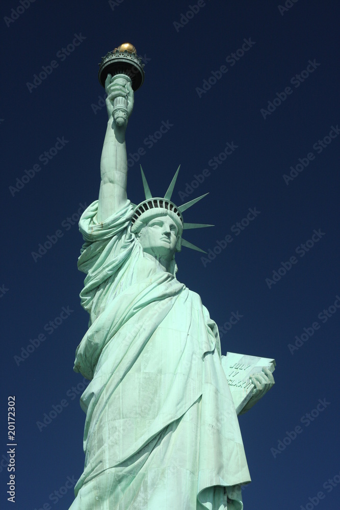 Fototapeta premium Statue of Liberty #1