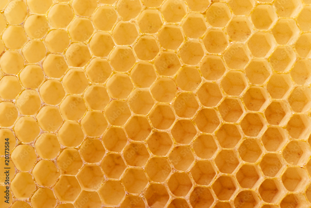 Honey-comb