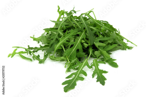 Fresh rucola leaves