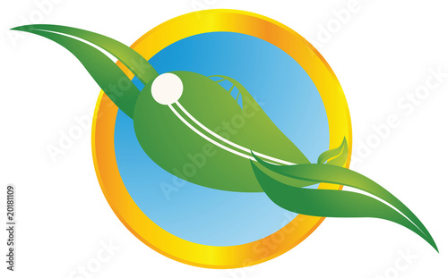 ecology, transport