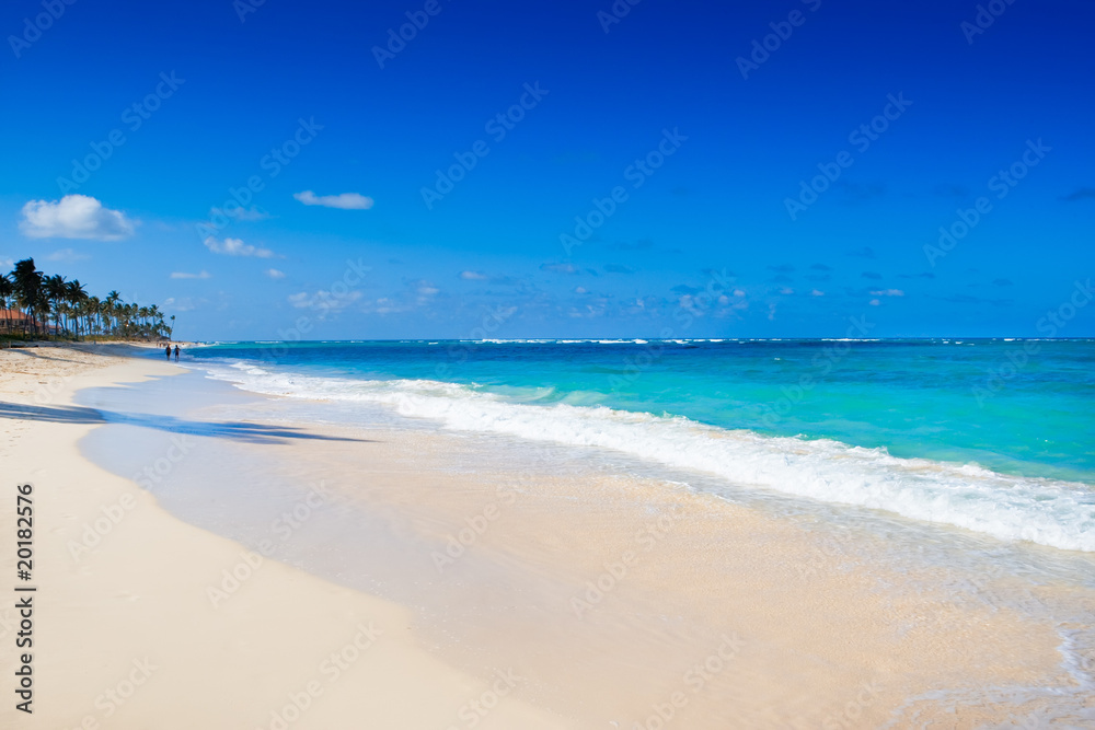 White sand beach near blue ocean