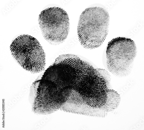 Paw Print Made up of Fingerprints