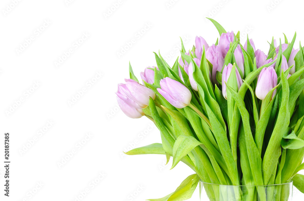 Bouquet of tulips in the vase isolated on white Bouquet of tulips in the vase isolated on white