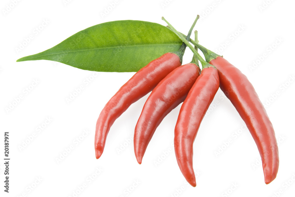 Red pepper chili and  leaf