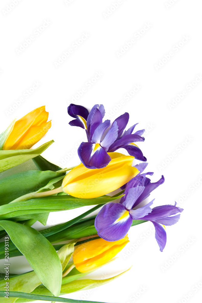 Naklejka premium beautiful spring flowers