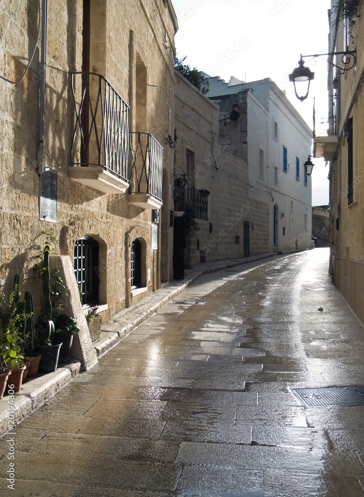 Fototapeta premium Characteristic alley of Monopoli. Apulia.