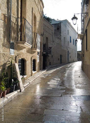 Fototapeta Naklejka Na Ścianę i Meble -  Characteristic alley of Monopoli. Apulia.