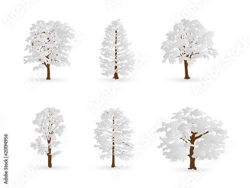 winter trees