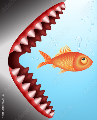 The Shark and Breakfast of Goldfish ( Vector Image )