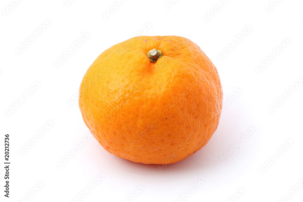 Mandarin Orange Mandarin Orange