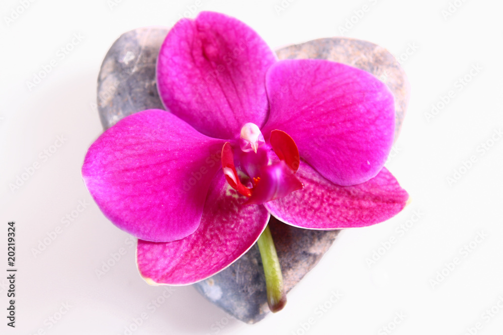 Obraz premium herz,valentinstag