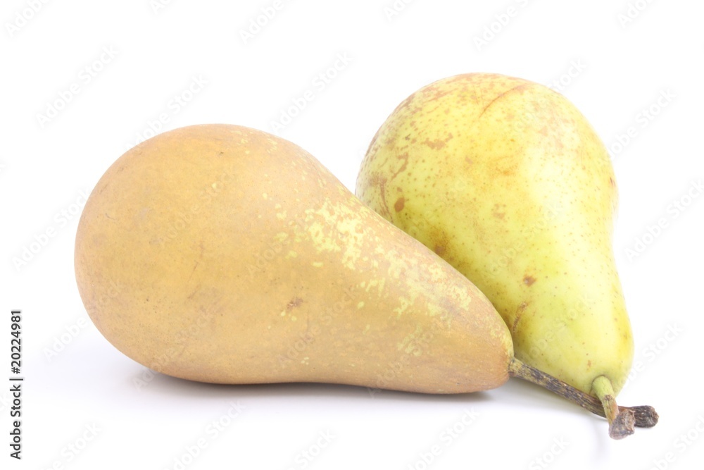 Pear Bosc / 梨 Pear Bosc / 梨