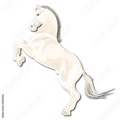 horse
