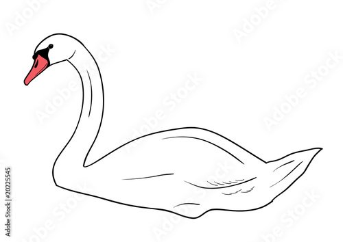 swan