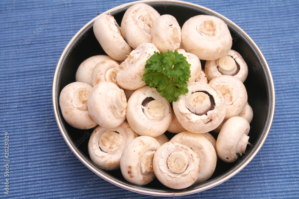 Champignons Champignons