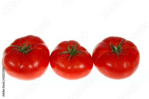 Red Tomatos