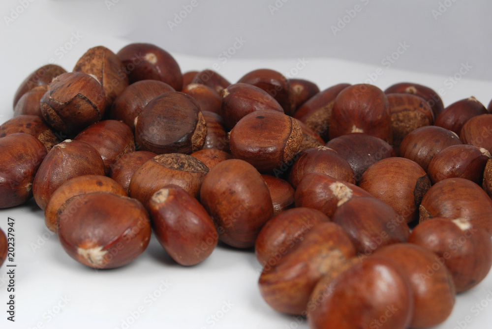 chestnut chestnut