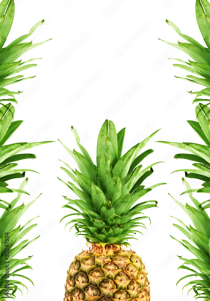 Ripe pineapple Ripe pineapple