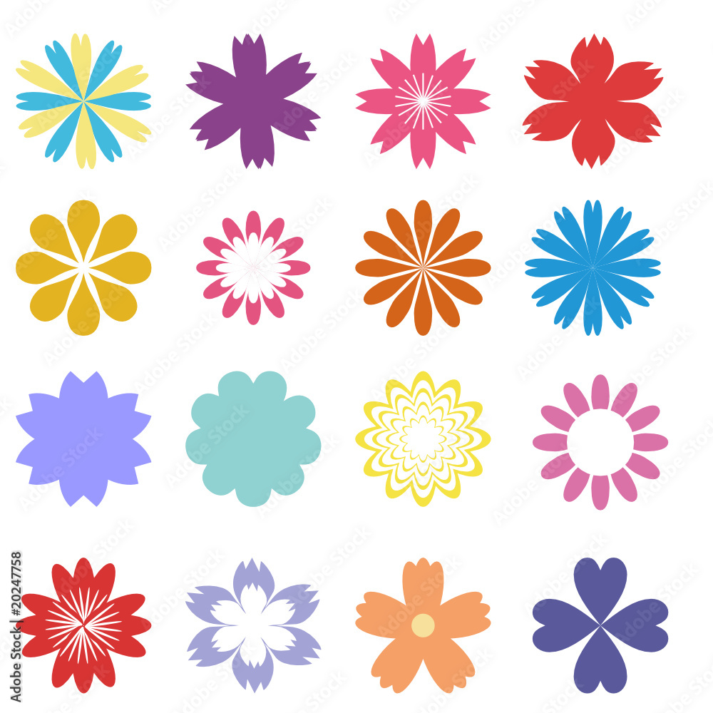 set with flowers on white background set with flowers on white background
