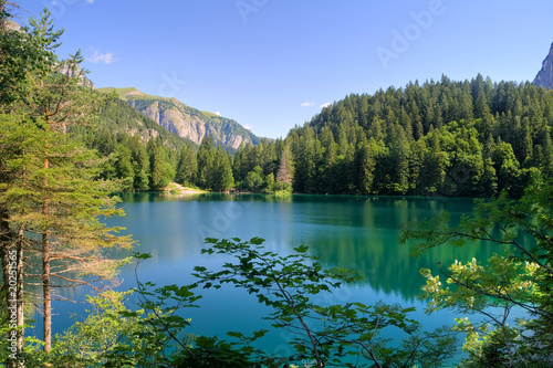 Lago Tovel, Trentino (HDR) photo