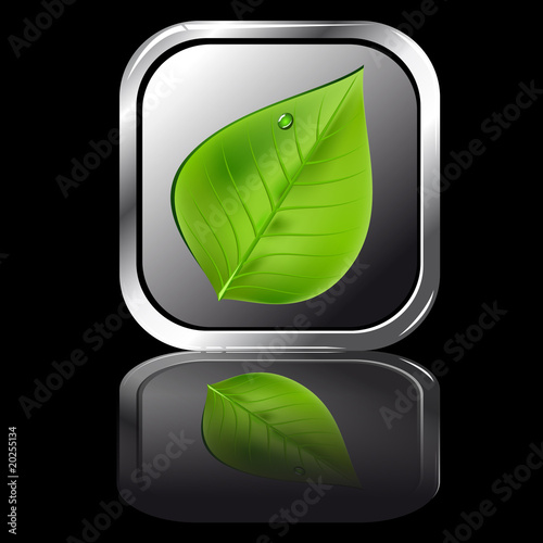 bouton feuille