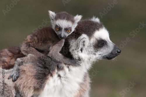 hugging the mother