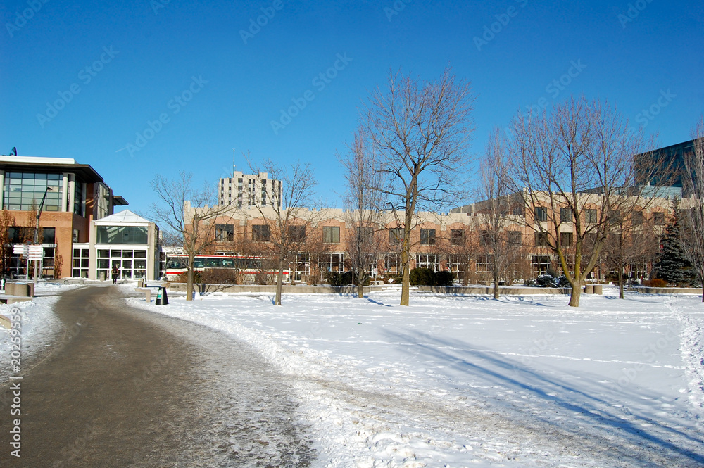 Campus de York University à Toronto au Canada