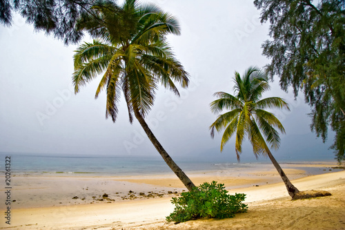 Foggy tropical beach. Tioman island. Malaysia