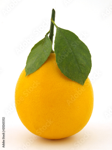 A ripe lemon with leaves