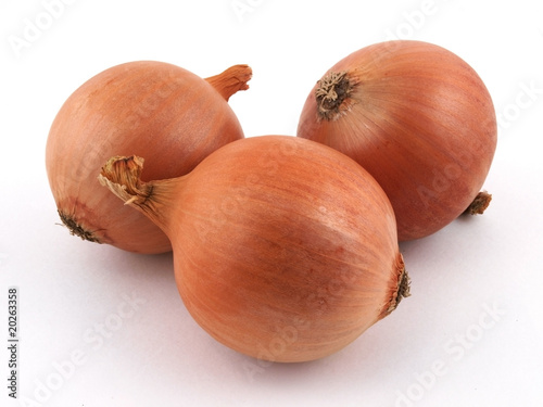 Onion