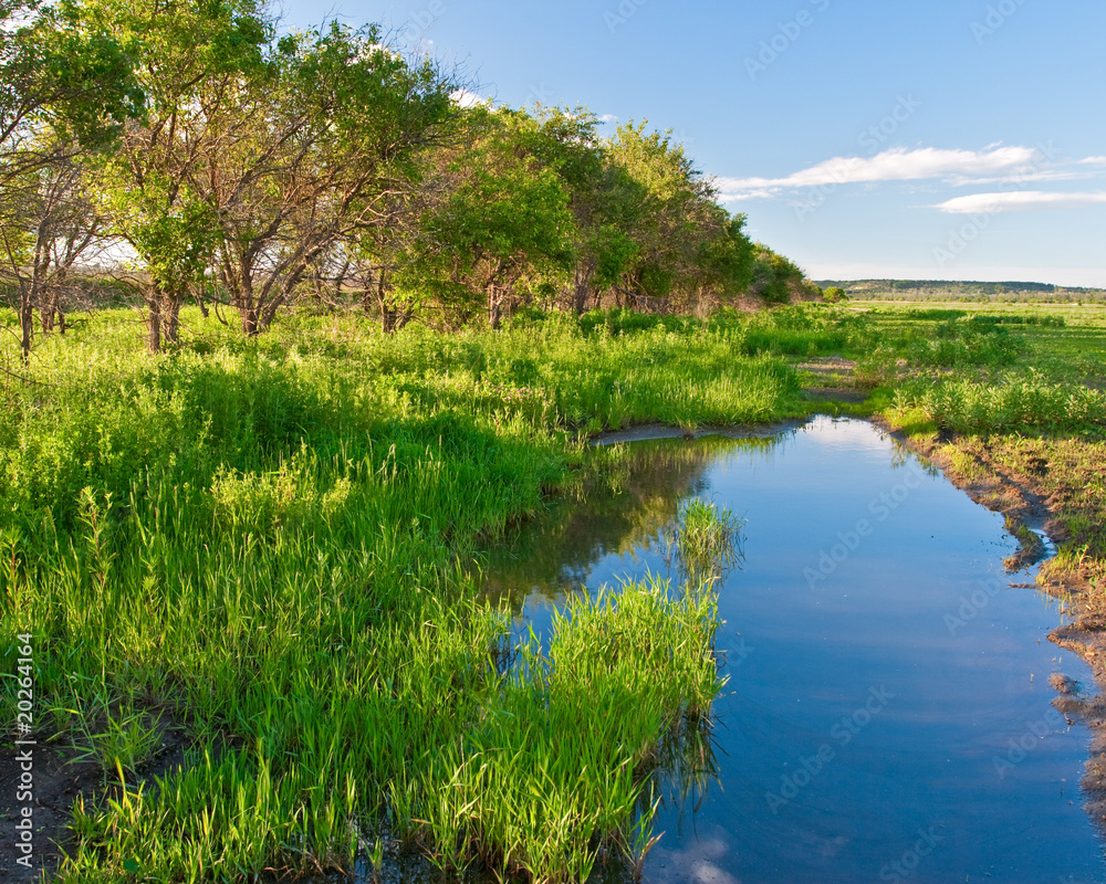 Fototapeta premium pool under the woods