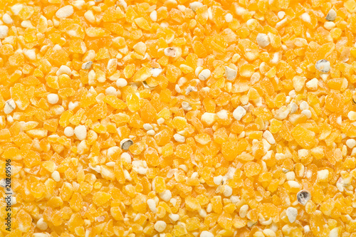 farina grossa per polenta photo