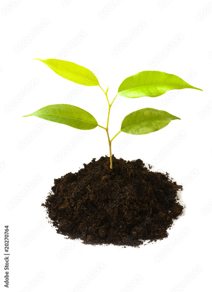 New life concept New life concept