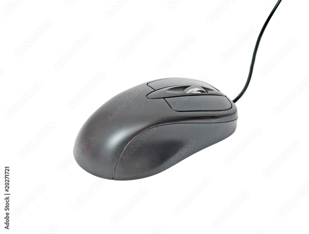 A mouse isolated on white background A mouse isolated on white background