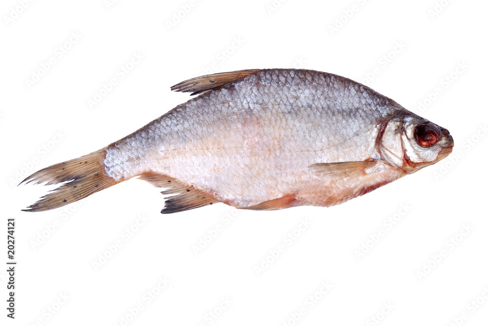 One dried whole sea roach on white One dried whole sea roach on white