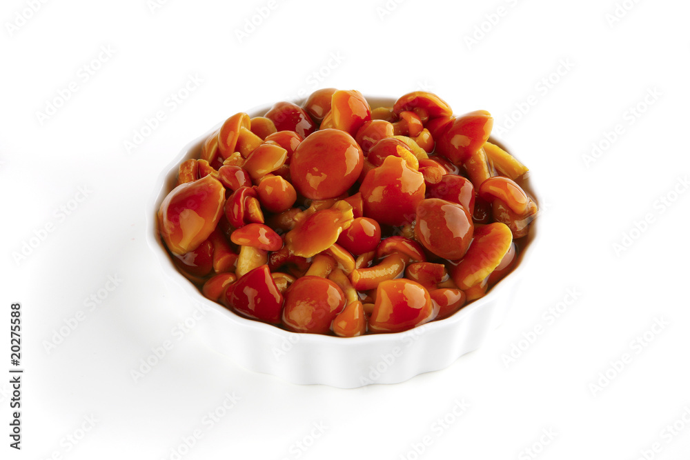 orange mushroom served orange mushroom served