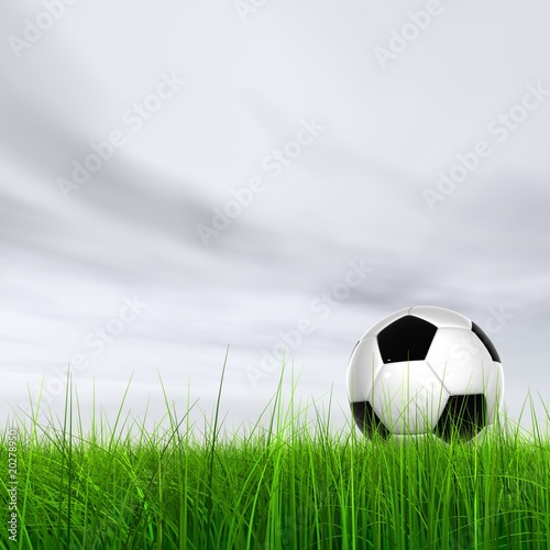 High resolution 3D soccer ball in green grass over a gray sky