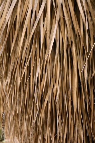 Dried palm tree leaves tropical house roof