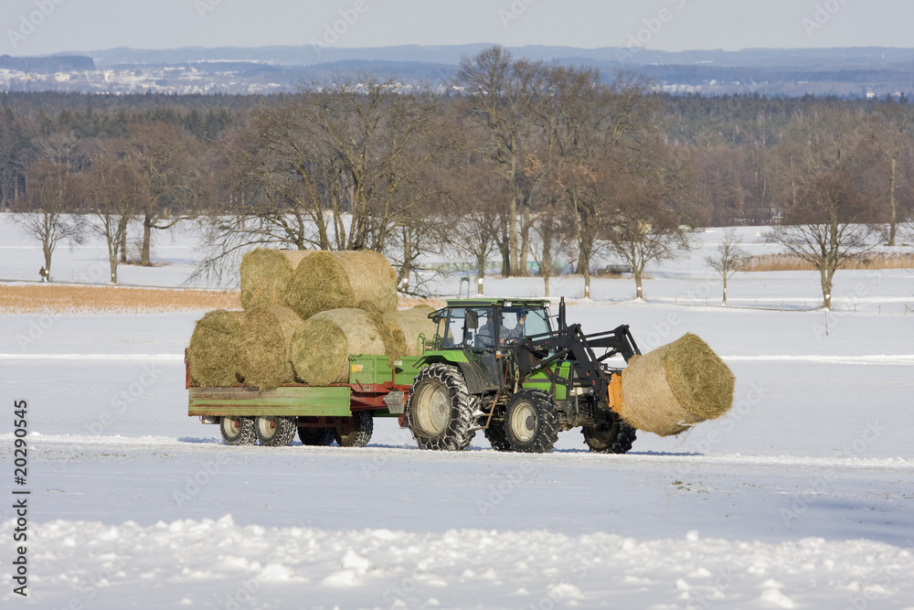 Naklejka premium traktor mit stroh beladen