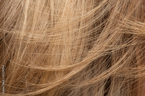 Close-up of human hair