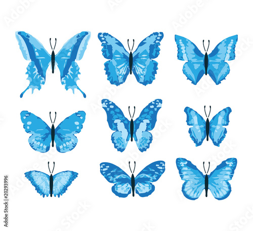 Schmetterlinge   Butterfly blue edition