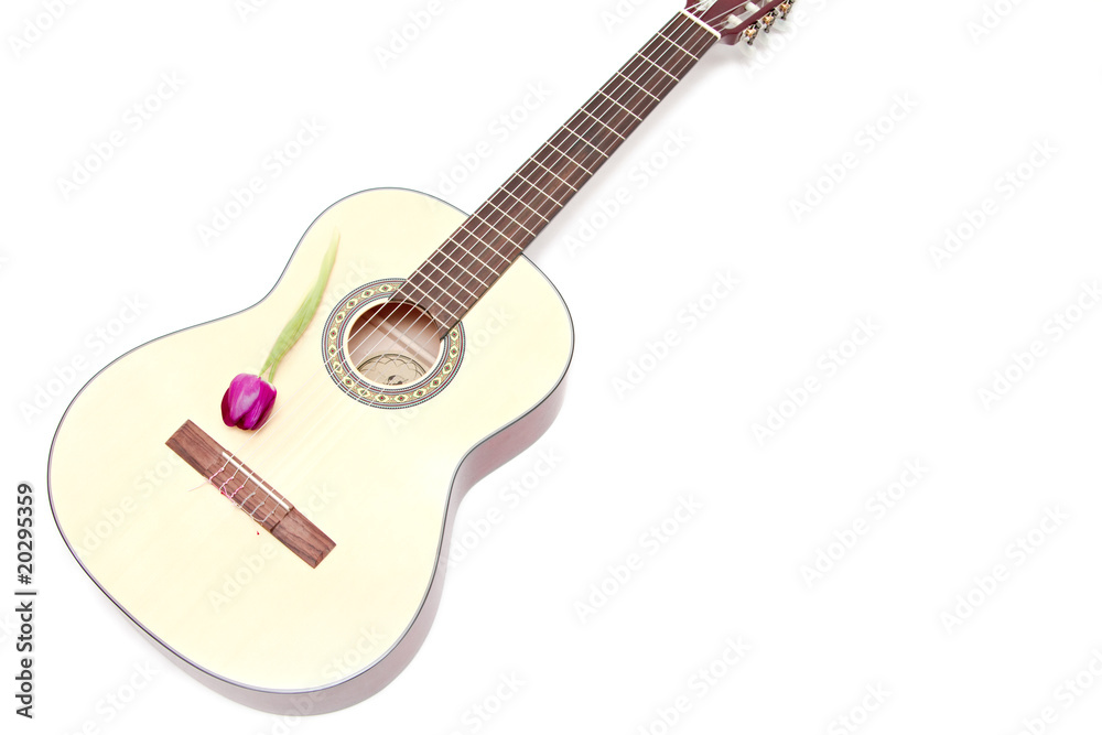 Fototapeta premium a yellow acoustic guitar isolated on white