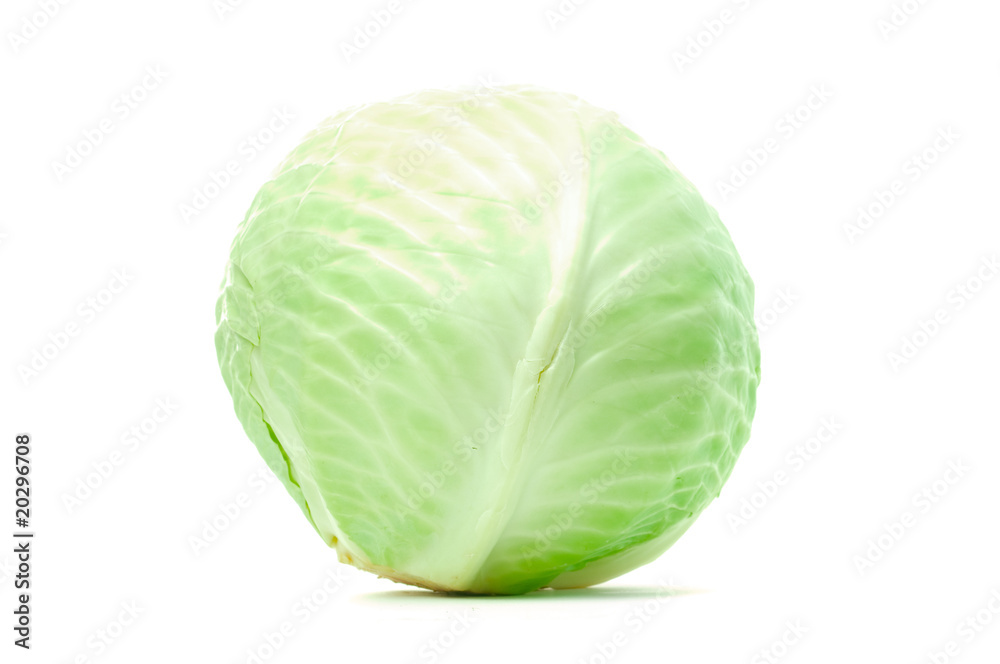 Cabbage Cabbage