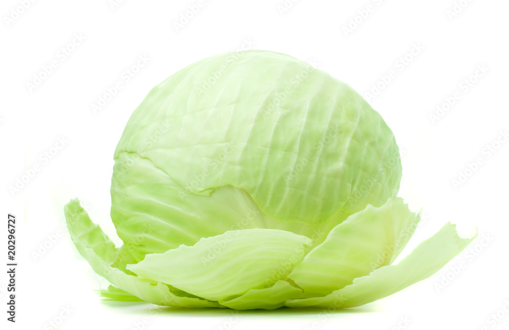 Fototapeta premium Cabbage