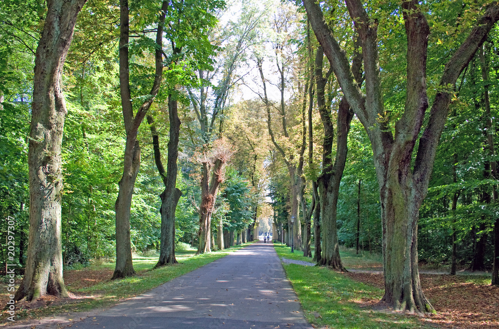Allee zum Wasserschloss Nordkirchen (Münsterland) Allee zum Wasserschloss Nordkirchen (Münsterland)